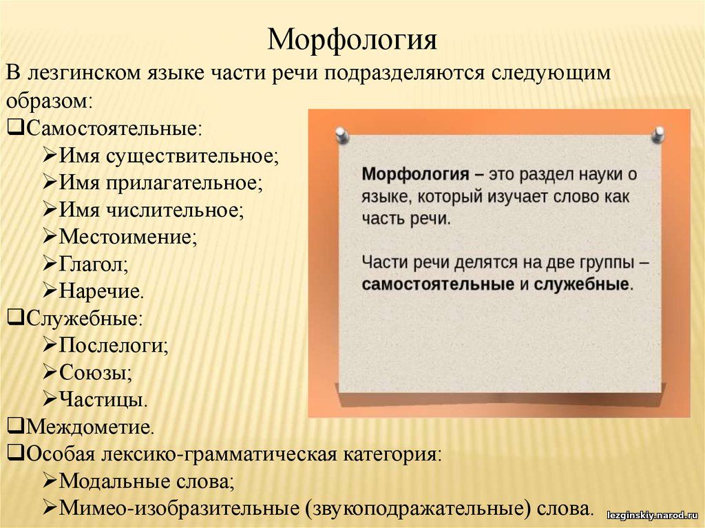 Морфология